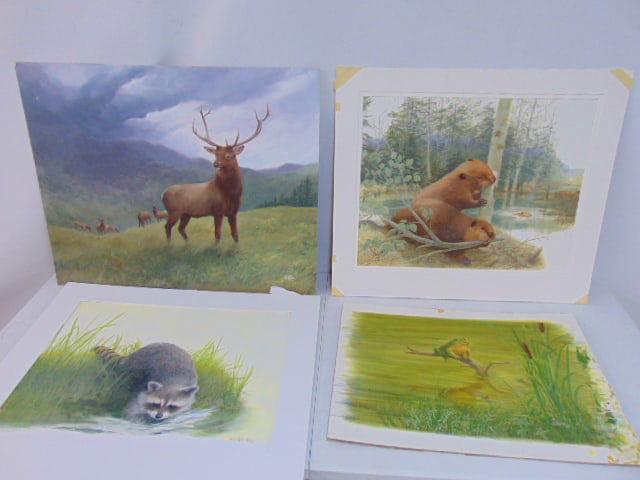 4 paintings, Rudolph Alden, wild life watercolors, beavers building dam, 20" by 25" (27" by 31"); Fr (1 of 14)