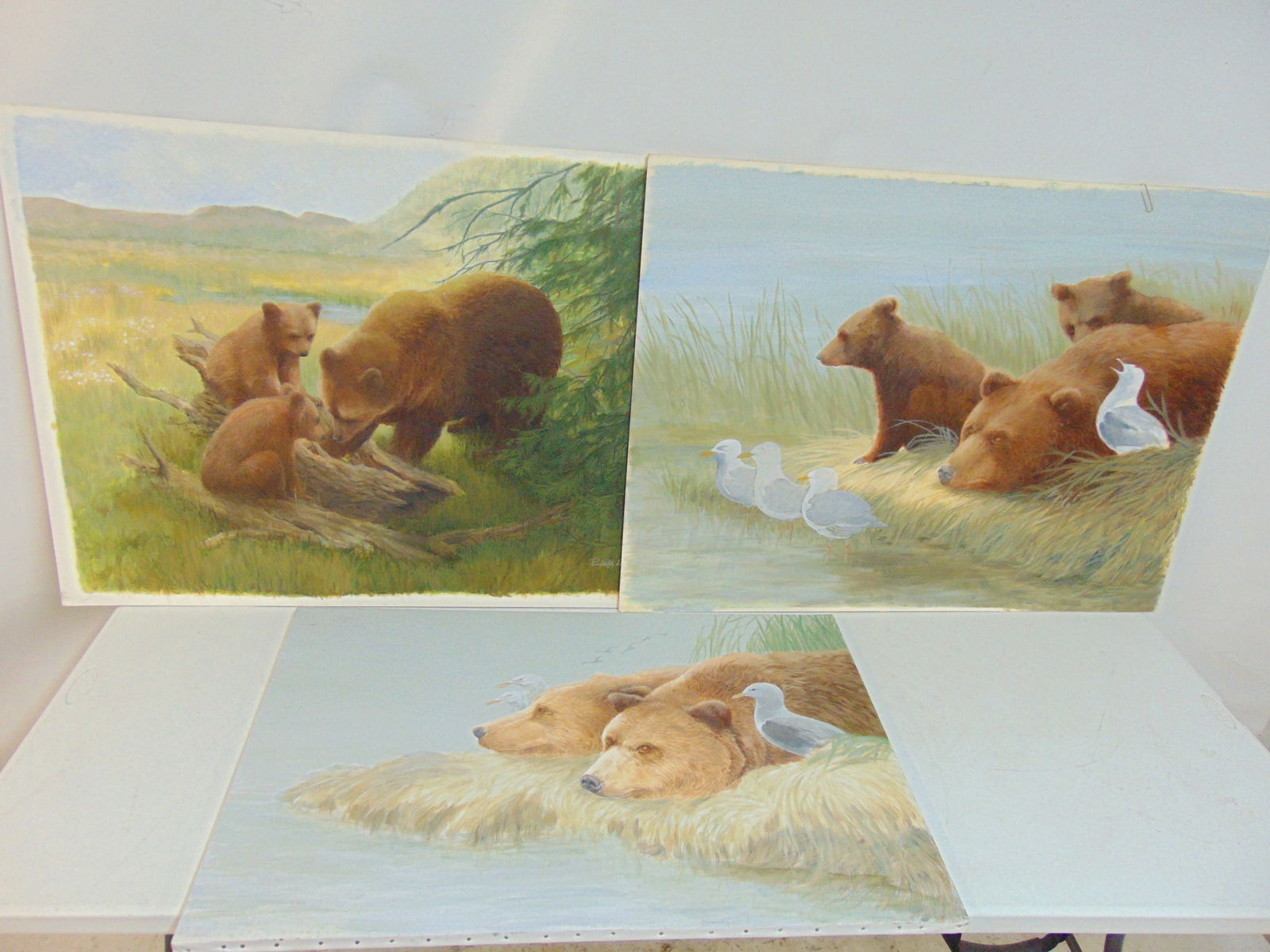 3 paintings, bears & seagulls, Rudolph Alden, one is painting on canvas, two are watercolors, painti: 3 paintings, bears & seagulls, Rudolph Alden, one is painting on canvas, two are watercolors, painting is 24" by 36", watercolors are 30" by 40", one is signed.