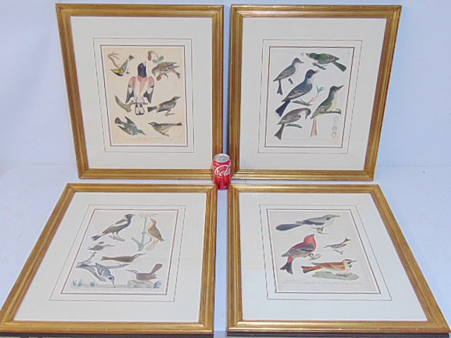 4 large bird engravings in gilt frames, Alexander Wilson, American Ornithology, 1871, various group (1 of 8)