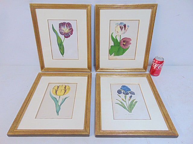 4 early botanical prints, 3 tulips & one Iris, all nicely framed, 9 3/8" by 6 3/8", framed size is (1 of 4)
