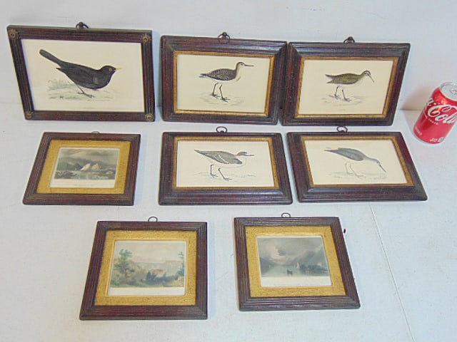 5 bird engravings & 3 lake view landscapes, Victorian frames, set 3 landscapes are 6.5" by 7 1/8", (1 of 7)