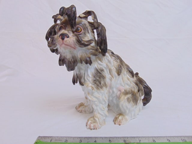 Meissen porcelain dog figure, Bolognese, 19th Century, has chips on hair on head, part of tail: Meissen porcelain dog figure, Bolognese, 19th Century, has chips on hair on head, part of tail missing, stress crack on back, figurine is 9" tall, 10.5" wide, 5.25" deep, in as is condition.
