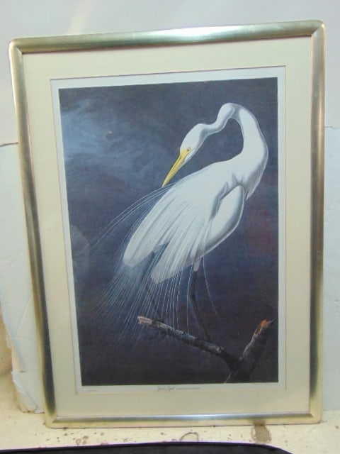 Audubon life member print, "Great Egret, limited edition, 452/950, National Audubon Society, total (1 of 4)