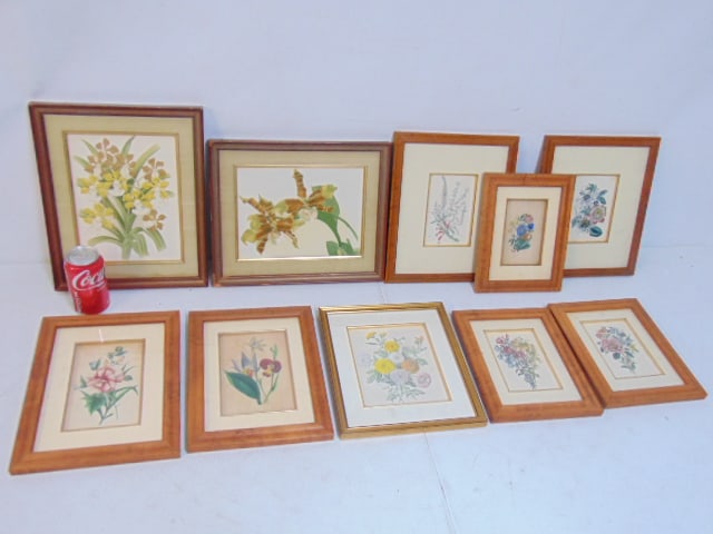 10 botanical prints, various sizes, nicely framed ,largest prints in this lot are 13.5" by 11.5" (1 of 8)