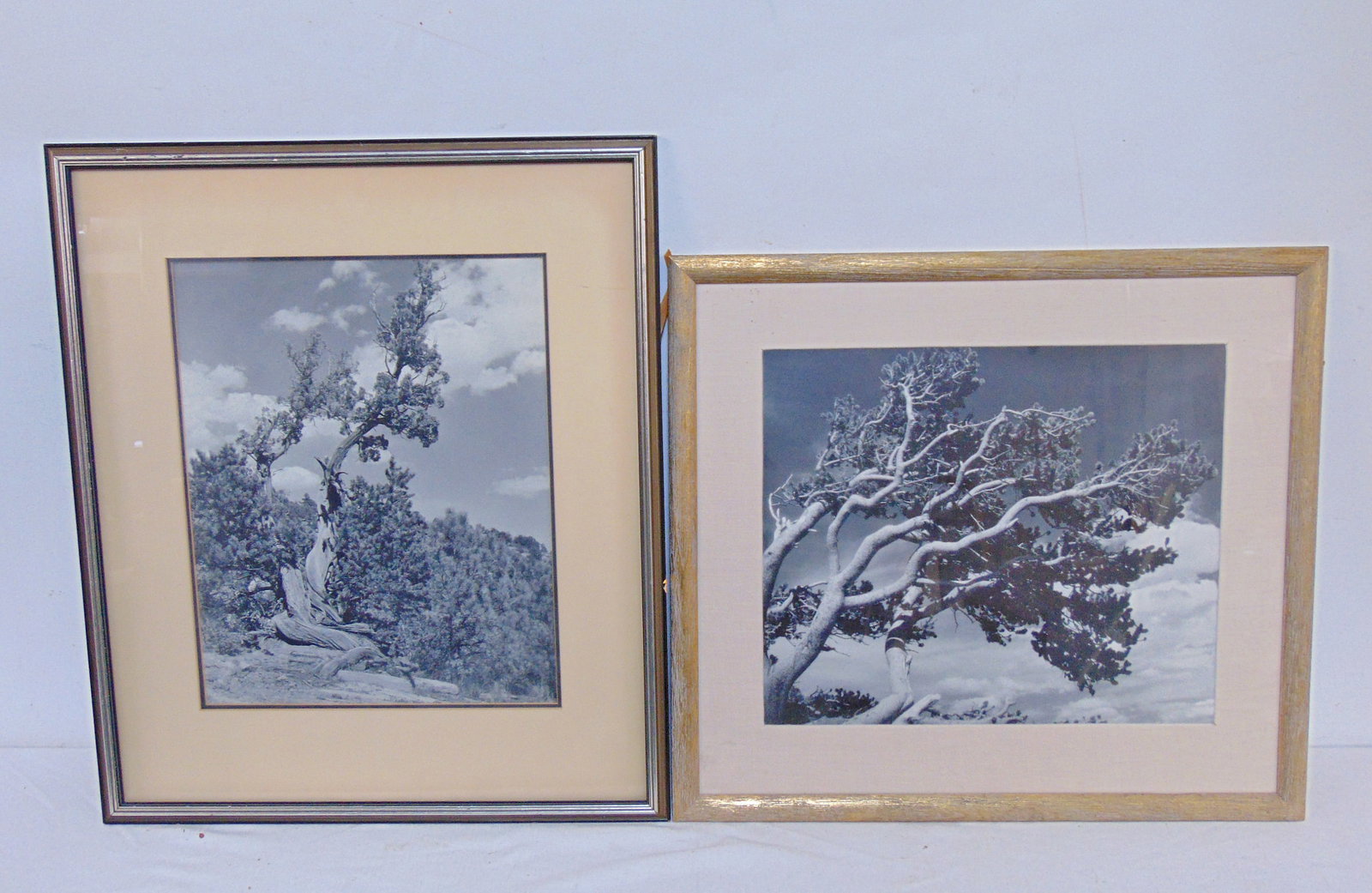 2 framed photographs, western scenes with barren trees in Ansel Adams style, 15.75" by 12.75", (1 of 4)