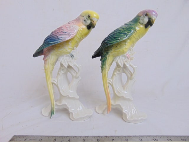 Pair Volkstedt porcelain parrots, height is 9.5", good condition (1 of 7)