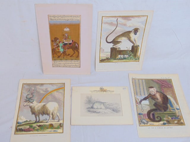 Art lot, Persian scene with composite camel & Persian text, 3 prints from Comte de Buffon's (1 of 8)