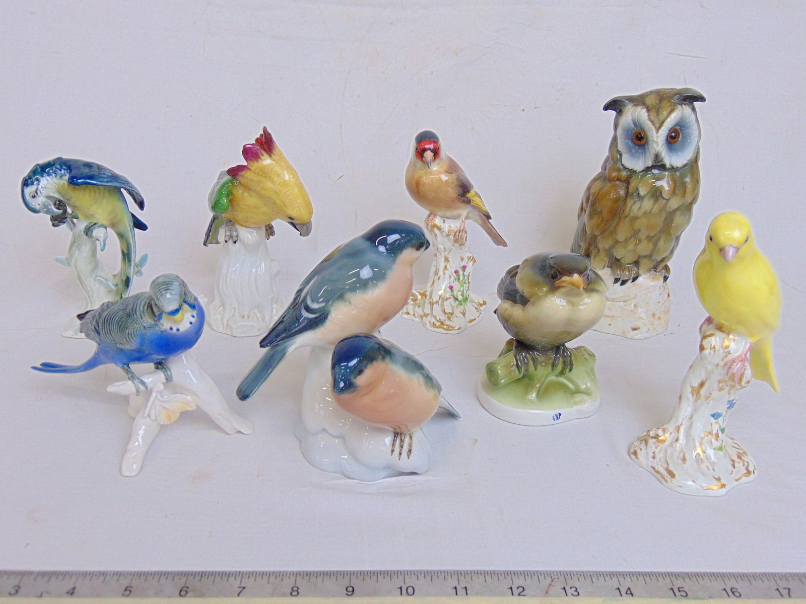 8 porcelain bird figurines, Alka Kunst parrot, Royal Worcester Canary, Nymphenburg young Blackbird, (1 of 16)
