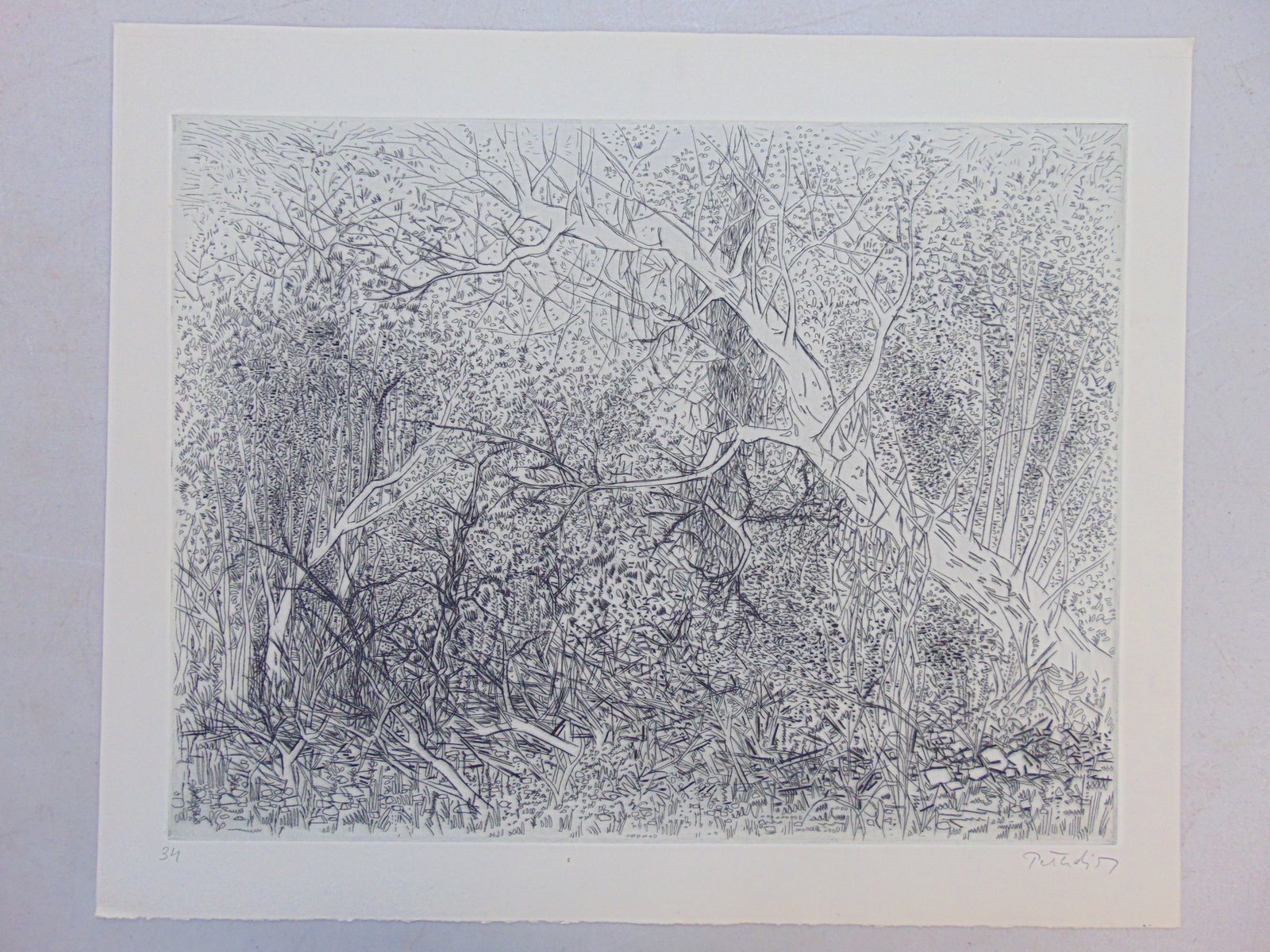 Etching, engraving, "In the Forest", signed Gabor Peterdi, 1957, numbered 34, unframed, 16 5/8" by 2 (1 of 5)
