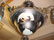 Muller Freres hanging fixture with center dome - 2