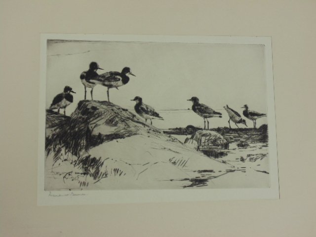 Etching, "Turnstones", sgd. Frank Benson (1 of 4)