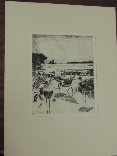 Etching, "Nellowleg in Sunlight", sgd. Frank Benson (1 of 4)
