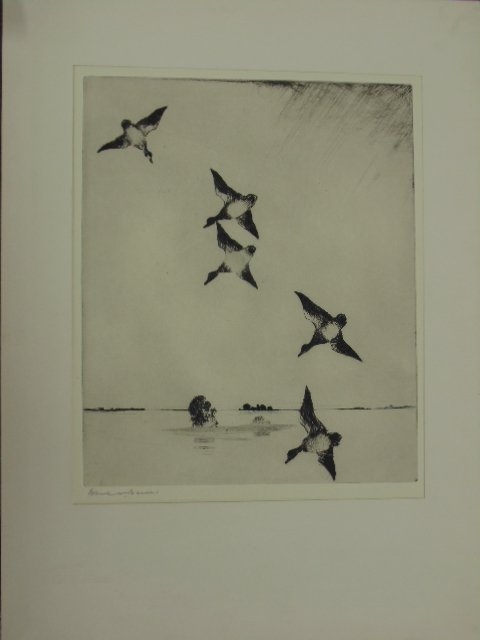 Etching, "On swift wings", sgd. Frank Benson (1 of 4)