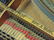 Baby grand piano by Steinway - 10