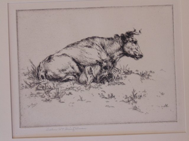 Etching, "Cow and young Calf", Arthur Wm. Heintzelman (1 of 2)