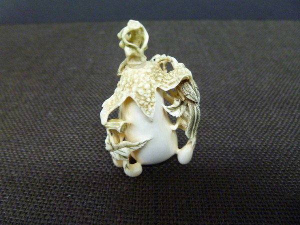 068: Final Japanese IVORY SNUFF: Two Birds contest over a worm emerging from the mantle of a large Gourd with small Gourds attached to stems around the base. 1920s masterful carving with signature on the bottom - as all these in the 