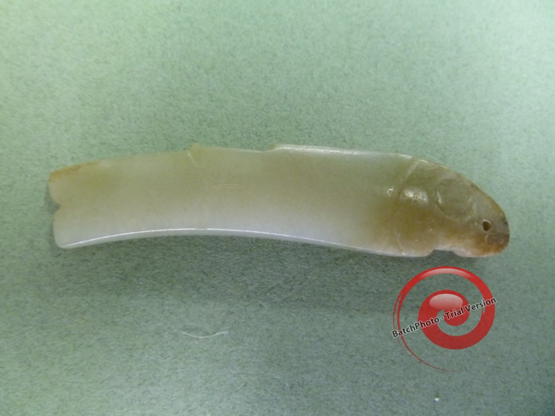ANCIENT SHANG FISH JADE: Fine workmanship and material are characteristics of this rare Jade that symbolized fertility and abundance. Neolithic Jade Fish are not so rare, but ones from the Shang (this design type thicker than