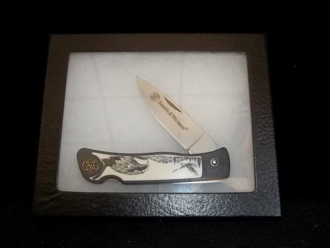 Smith & Wesson Eagle Knife: Smith & Wesson Eagle Knife