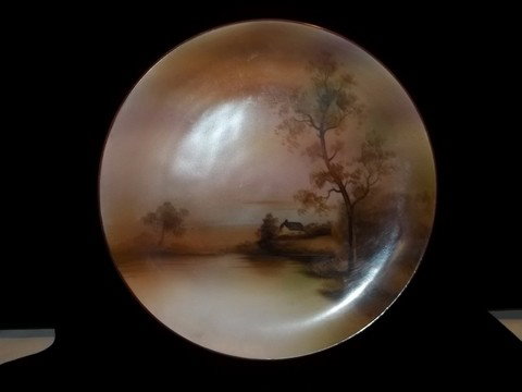 Hand Painted Noritake Plate: Hand Painted 8.5 inch noritake plate