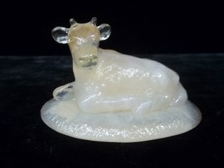 Peach Boyd Cow: Peach Boyd Cow