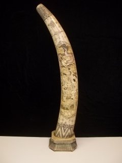 Gorgeous Scremshaw Tusk: Gorgeous 29" scremshaw tusk, reproduction
