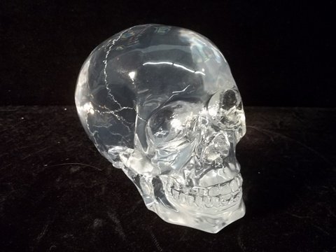 Nice Lucite Skull Pice: .
