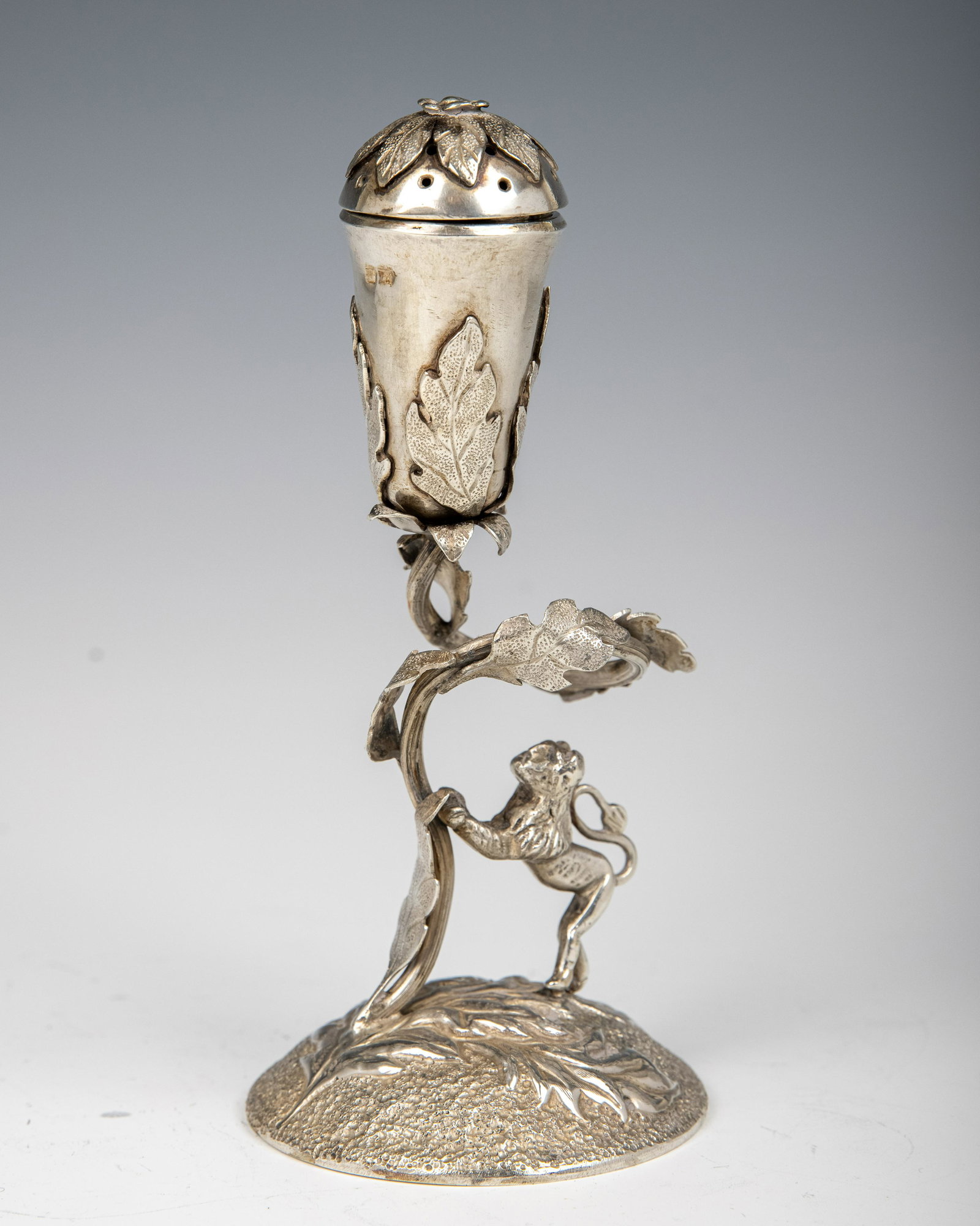 A LARGE SILVER SPICE CONTAINER (1 of 1)