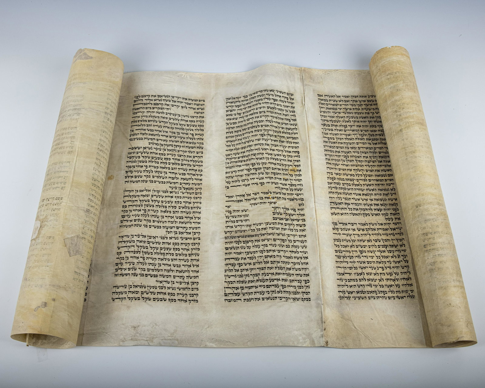A YERIAH FROM A SMALL SEFER TORAH (1 of 1)