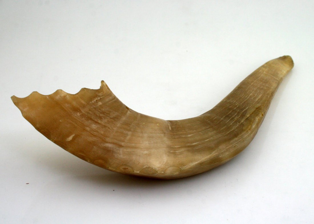 AN ANTIQUE SHOFAR. Eastern Europe, c. 1900.: AN ANTIQUE SHOFAR. Eastern Europe, c. 1900. Hand carved from a ram’s horn. 14” long.