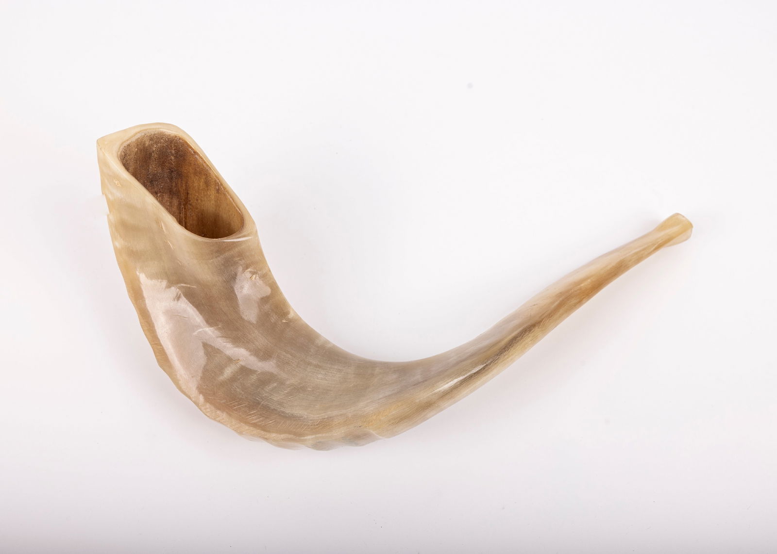 A LARGE HAND CARVED SHOFAR. Israel, modern. Traditional form. Hand polished. With the original (1 of 1)
