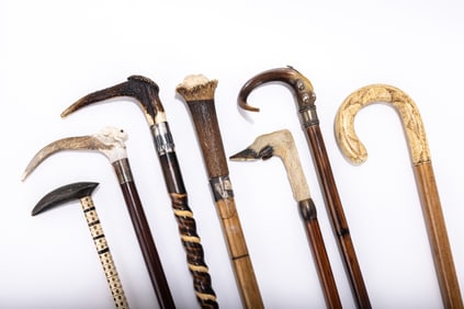 A GROUP OF SEVEN BUCK HORN AND OTHER HANDLE DRESS CANES. Mostly made from stag horns. One snakeskin.