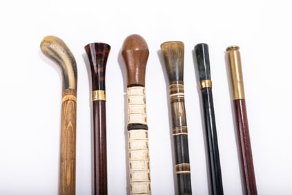&nbsp;A GROUP OF SIX DRESS CANES - WALKING STICKS. Various ages and origins. Of various forms which