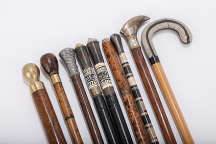 A GROUP OF NINE WALKING CANES. Various ages and origins. Mostly large and wide shaft canes.
