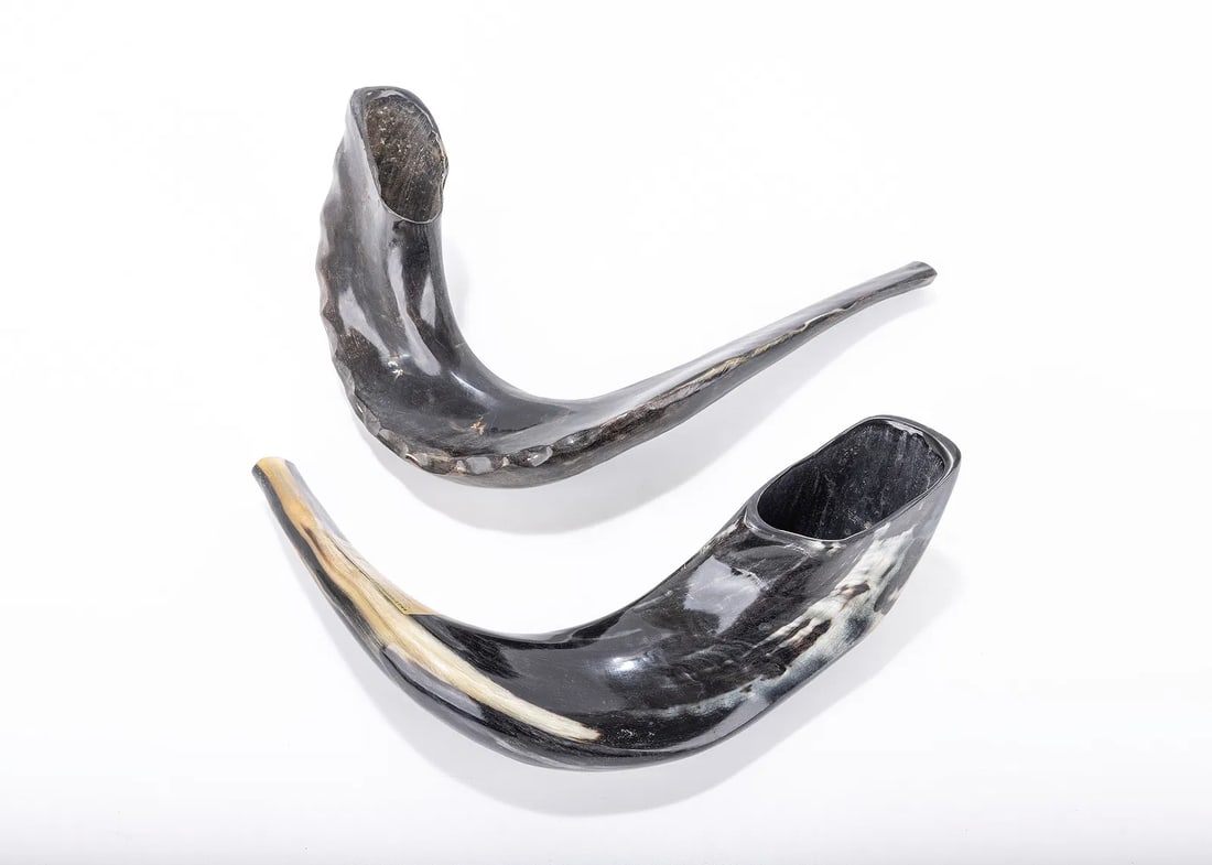 TWO HAND CARVED SHOFARS FOR ROSH HASHANA (1 of 1)