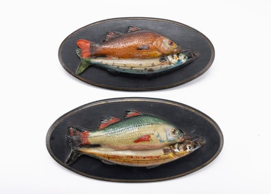 TWO MAGNIFICENT MOUNTED VICTORIAN GLASS FISH WALL PLAQUES. United Kingdom, 19th century.