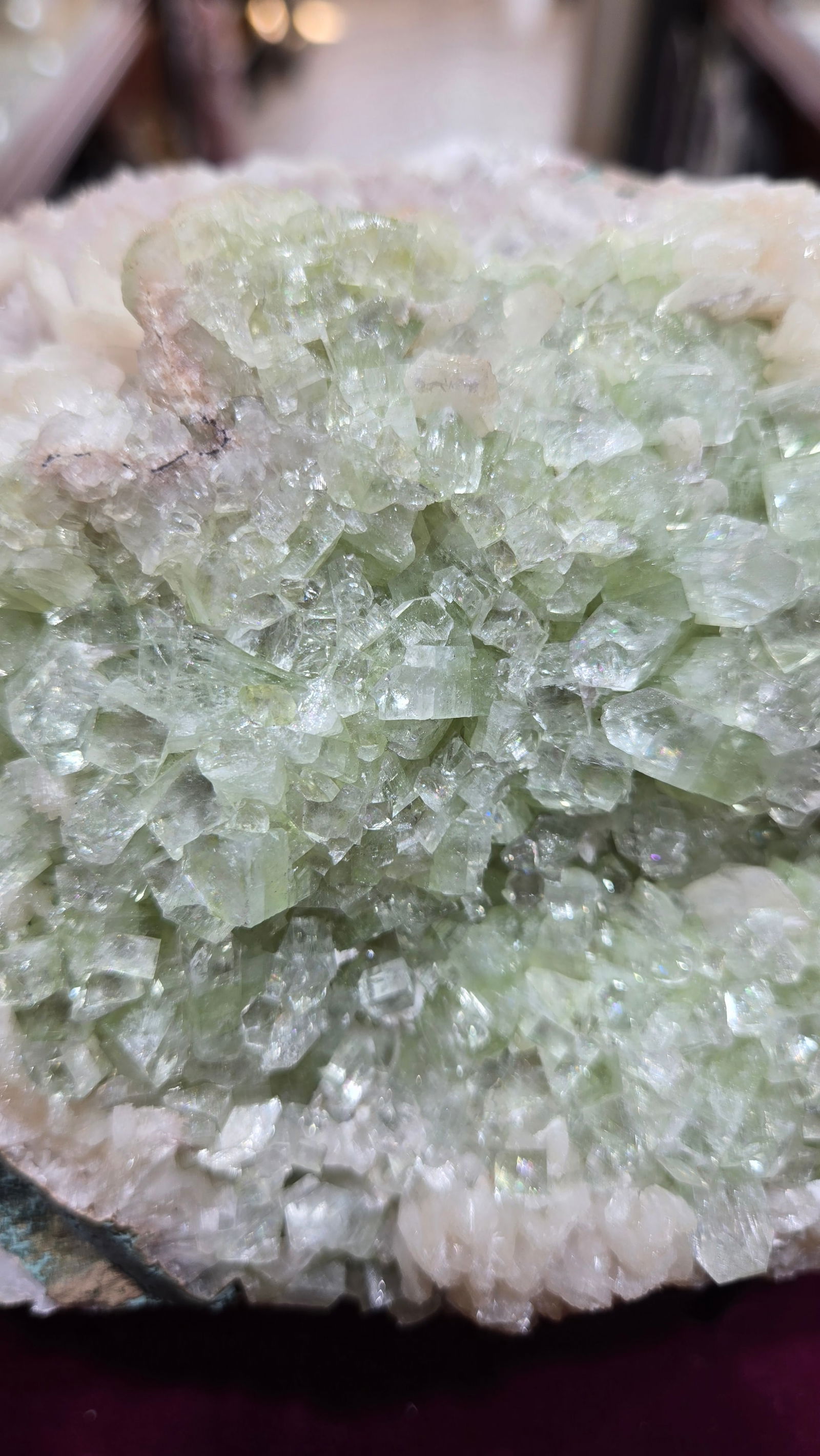 A GORGEOUS Apophyllite CLUSTER SPECIMEN - 2