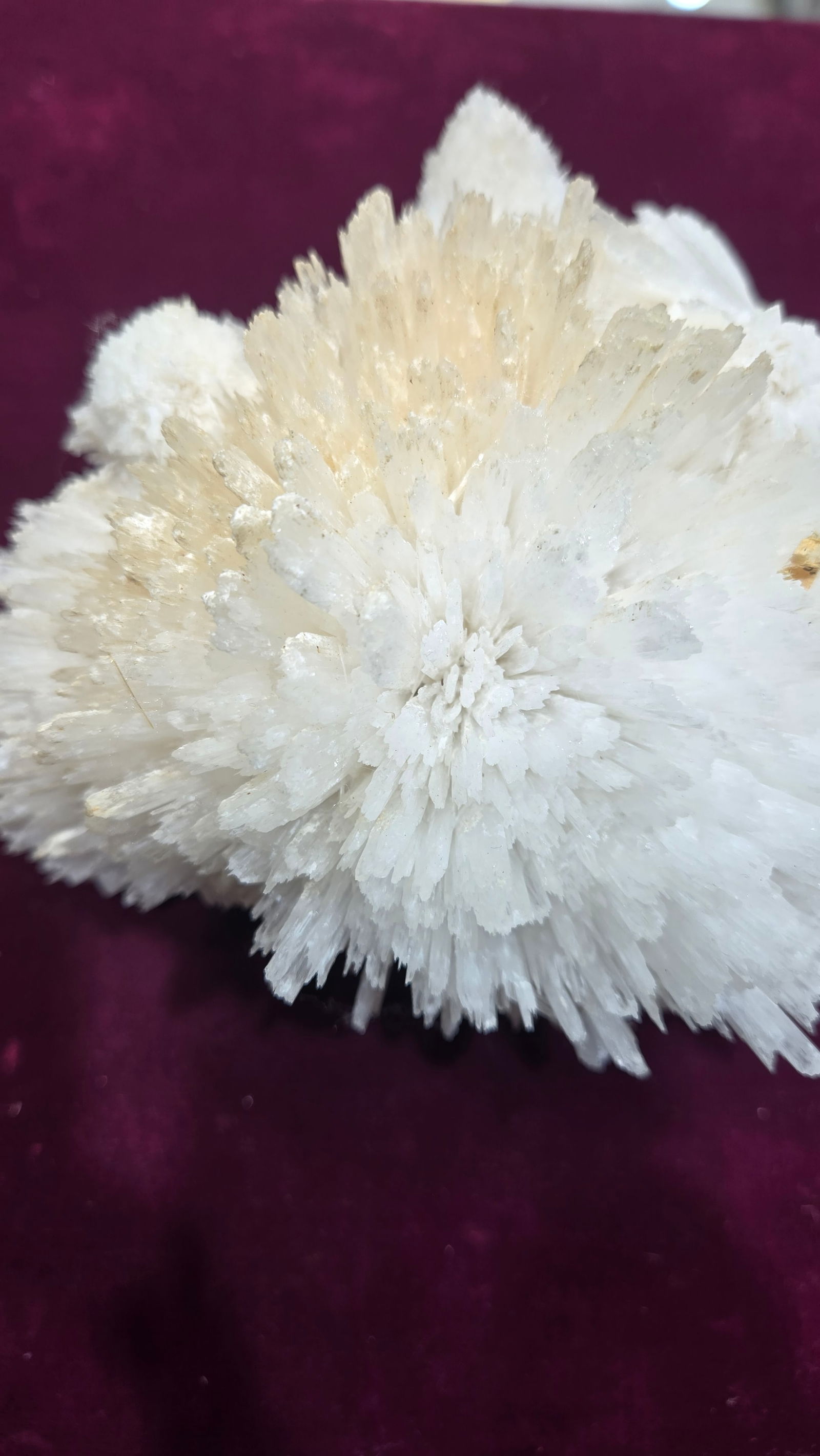 A RARE SCOLECITE FORMATION SPECIMEN - 2
