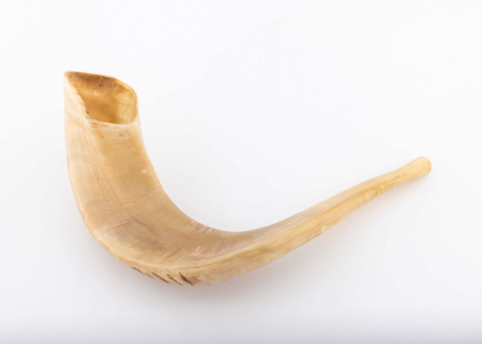 A RAM'S HORN SHOFAR. Probably Israel, c. 1980.: Traditional form. Hand carved and hand polished. 9.7" tall.