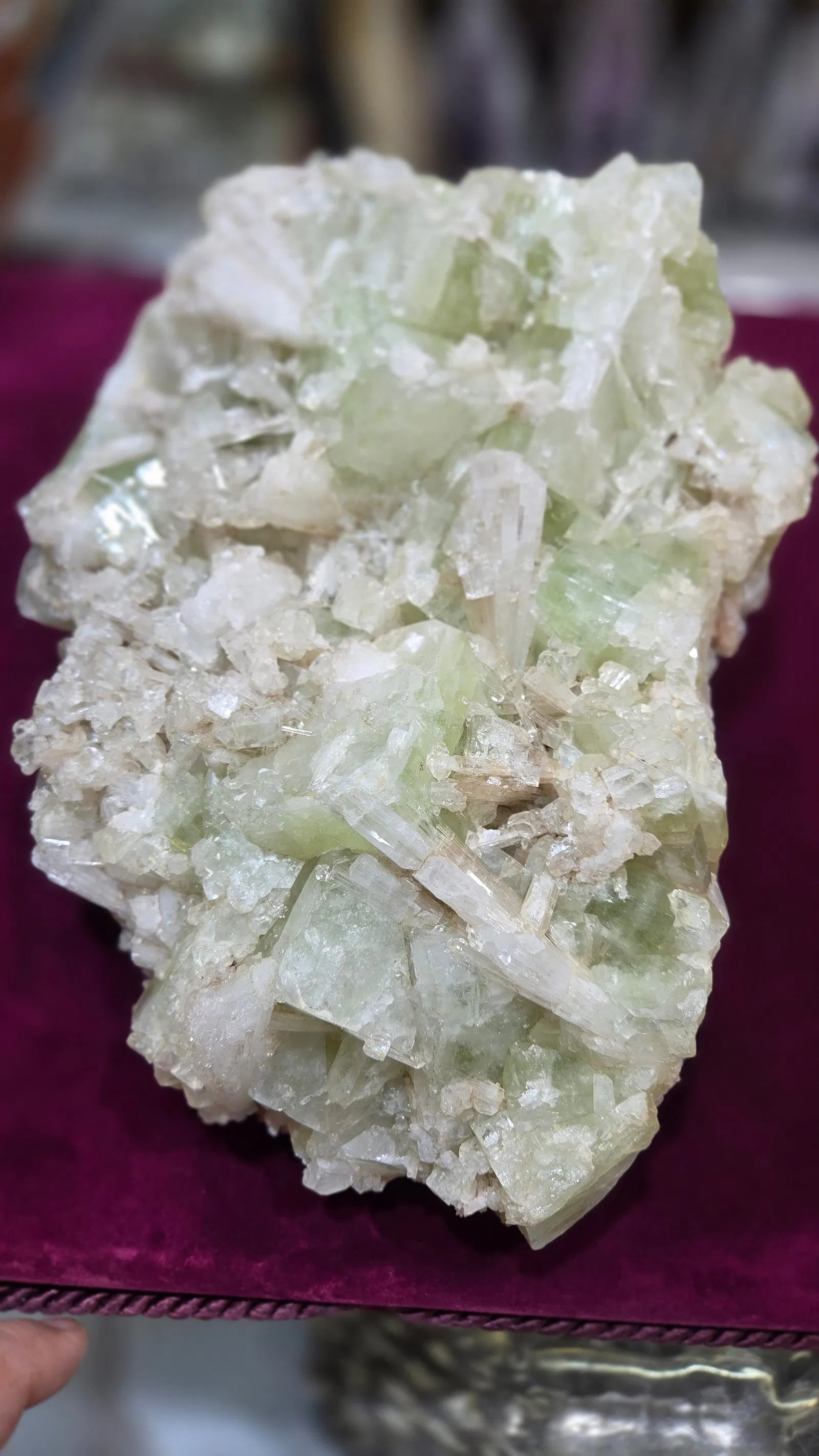 A GORGEOUS APHOPYLLITE CLUSTER SPECIMEN: About 11" across, very substancial specimen