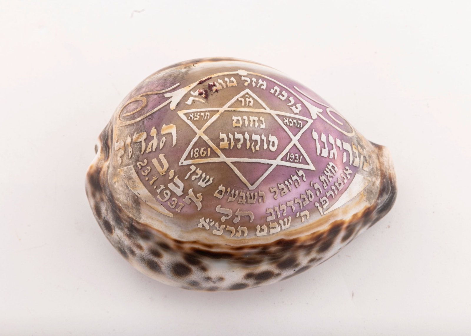 A COWRY SHELL GIVEN TO NAHUM SOKOLOW. Tel Aviv, 1931 (1 of 1)