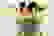 item-29324788=4