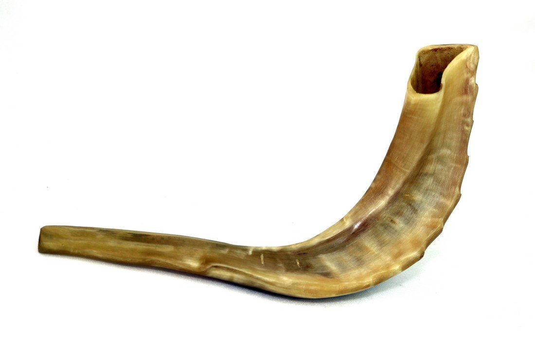 AN EARLY RAM’S HORN SHOFAR: American, c.1920.Hand carved.Working condition.12” long