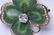 14 KARAT GOLD, ENAMEL & DIAMOND SHAMROCK PIN - 2