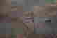 item-59655587=3
