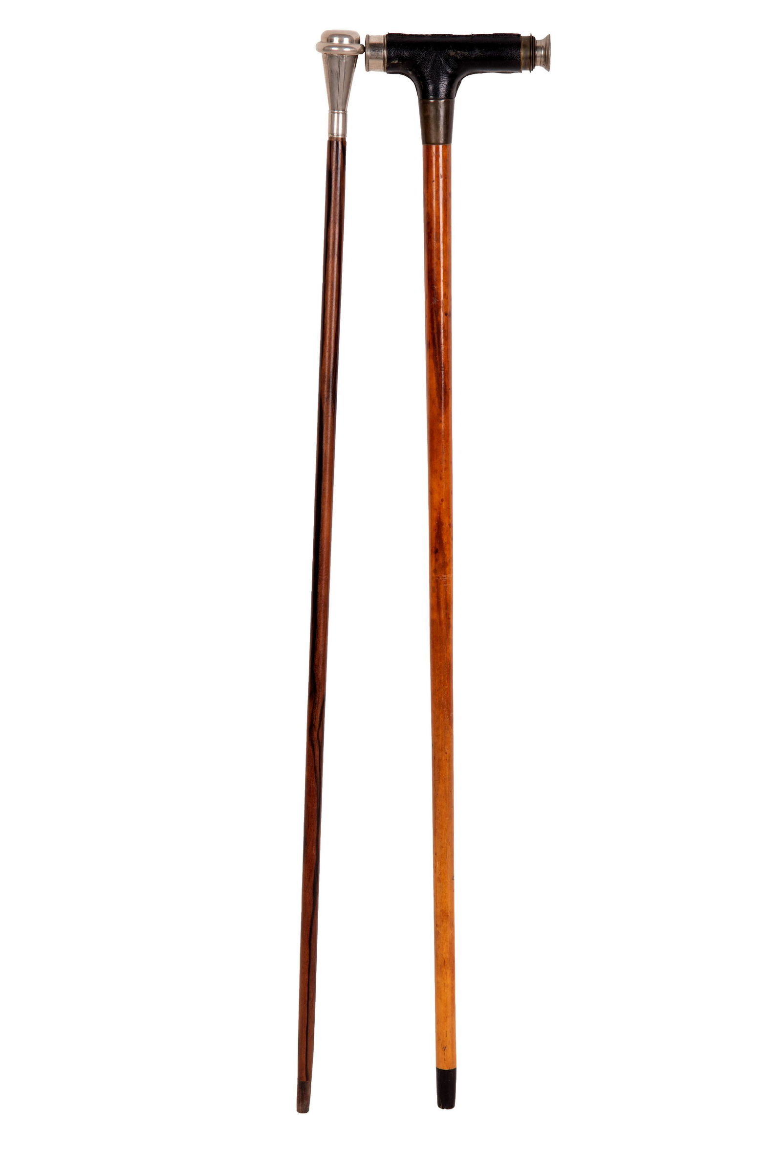 two walking sticks