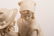 ITALIAN CARVED MARBLE STATUE OF MAN & WOMAN - 11