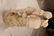 ITALIAN CARVED MARBLE STATUE OF MAN & WOMAN - 14