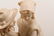 ITALIAN CARVED MARBLE STATUE OF MAN & WOMAN - 4