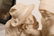 ITALIAN CARVED MARBLE STATUE OF MAN & WOMAN - 5