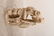 ITALIAN CARVED MARBLE STATUE OF MAN & WOMAN - 7